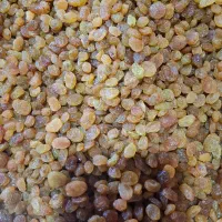 فروش انواع کشمش طلایی خرمایی|خوردنی و آشامیدنی|ابهر, |دیوار