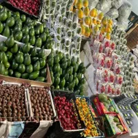 میوه استوایی توت فرنگی میوهای چهار فصل تالار مجالس