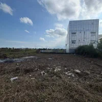 فروش زمین 220 متری واقع در سیاه بلش|فروش زمین و ملک کلنگی|رضوانشهر, |دیوار