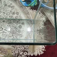 فروش اکواریوم|ماهی|نقده, |دیوار