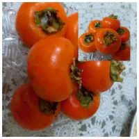 خرمالوی شیرین ۵۰ تومن