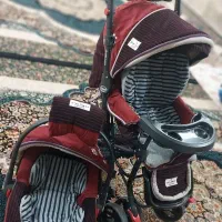 کالسکه و کریر دلیجان در حد نو