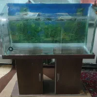 آکواریوم به همراه میز