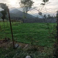 زمین در بهترین مکان مازوپشته پای کوه