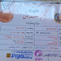 فروش جوجه کبوتر مسافتی نامبروان