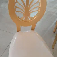 صندلی absراجا/تالار.رستوران هتل