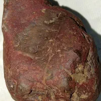 سنگ یاقوت (رابیRuby) جهت فروش(حدود دو و نیم کیلو)