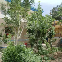 گاوداری