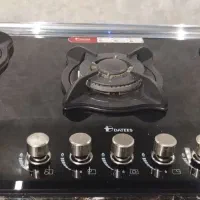 گاز صفحه ای داتیس در حد نو