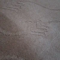 موکت سالم
