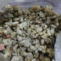 دونه‌.کال‌.اشترک‌.خریدار‌.واقعی‌پیام‌بده