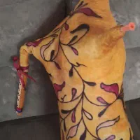فروش یک عدد نی انبان