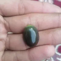 انگشتر|بدلیجات|زاهدان, |دیوار