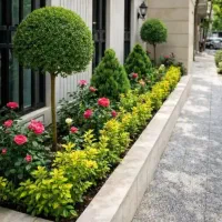 خدمات باغبانی درختکاری وگل کاری تعویض گلدون و خاک|خدمات باغبانی و درختکاری|تهران, ستارخان|دیوار