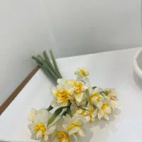 خدمات ماساژ با کیفیت بالا