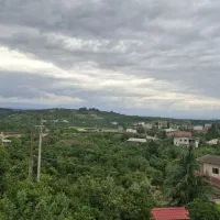اجاره روزانه