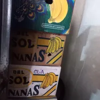 کارتن جاموز