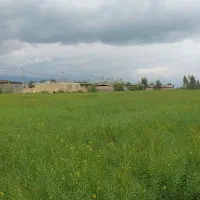 سرمایه گذاری مطمئن و کم ریسک روی زمین با سند|فروش زمین و ملک کلنگی|گرگان, |دیوار