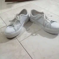 کفش سفید|کیف، کفش، کمربند|بجنورد, |دیوار