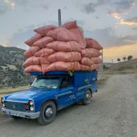 حمل نقل بار بانیسان باربری نیسان|خدمات حمل و نقل|کرمانشاه, |دیوار