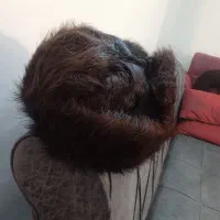 یه عدد کلاه