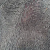 اجاره-سوییت