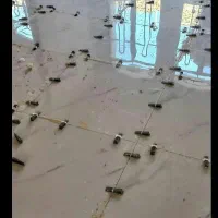 کاشی کاری وبازسازی وتخریب ساختمان