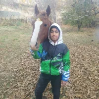 فروش اسب|اسب و تجهیزات اسب‌سواری|یاسوج, |دیوار