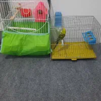 یک جفت فنچ مولدویک عددمرغ عشق نرباقفس