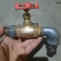 شیرفلکه کیتز ژاپن