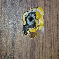 نشت یابی تخصصی آب(خوندنش ضرر نداره)