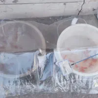 ماهی خوش قیمت