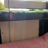 تخت دو طبقه تاشو