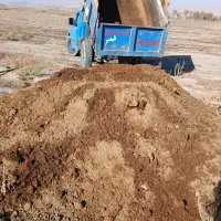 کود حیوانی|خدمات باغبانی و درختکاری|کنگاور, |دیوار