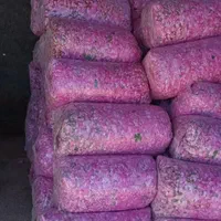 نهال گل محمدی اردهالی|خدمات باغبانی و درختکاری|کاشان, بازار کاشان|دیوار