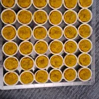 حلوا و خرما