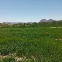 نیازمند مشارکت جهت احداث گلخانه