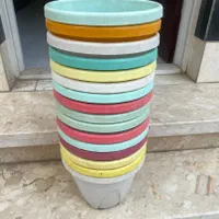 گلدان|گل و گیاه طبیعی|تهران, قاسم‌آباد|دیوار