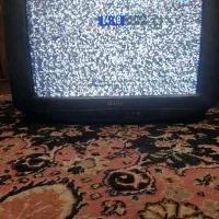 تلوزیون وستل