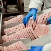 کارخانه همبرگر/راننده پایه ۳-۲/موزع/کارگرخانم آقا|استخدام حمل و نقل|قدس, شهر‌قدس|دیوار