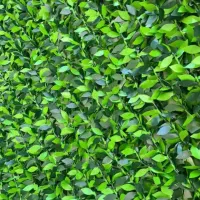 چمن مصنوعی و فنس چمنی|مصالح و تجهیزات ساختمان|یزد, |دیوار