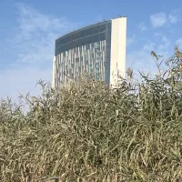 رهن-کامل-مغازه-50متری