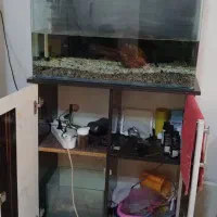 آکواریوم شیشه خم با میز و تمام وسایل