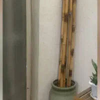 گلدان و گل بامبو