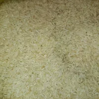 کمپلوی جنوبی برنج عنبرموجوده