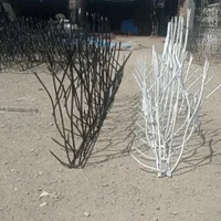 استخدام و  فروش حفاظ شاخ گوزنی تولید قیمت کارخانه