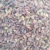 کشمش|خوردنی و آشامیدنی|یاسوج, |دیوار