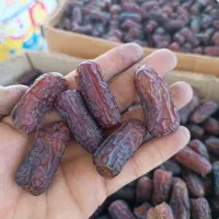 فروش  خرما از باغدار بدون واسطه|عمده‌فروشی|تهران, تختی|دیوار