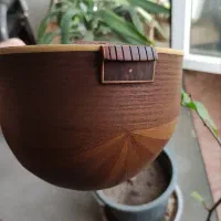 سه تار حرفه ای|سازهای سنتی|ایذه, |دیوار