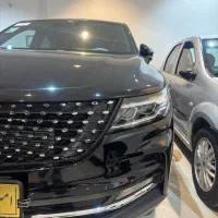 دیگنیتی خشک